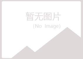 鹤岗东山从安能源有限公司